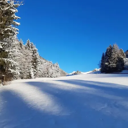 Dolomiti Bey Haus Pinter לינה וארוחת בוקר Assling