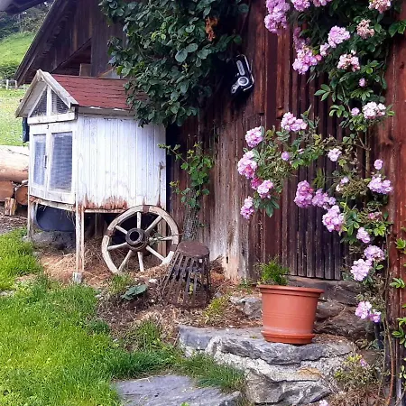 Dolomiti Bey Haus Pinter *