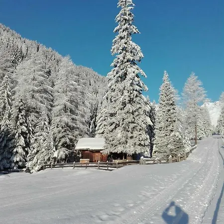 Dolomiti Bey Haus Pinter * Assling