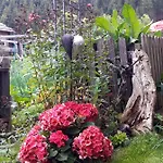 Dolomiti Bey Haus Pinter Couette-café Assling