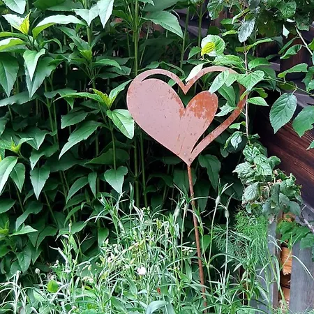 Dolomiti Bey Haus Pinter 3*