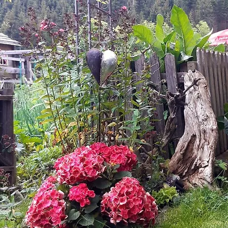 Dolomiti Bey Haus Pinter Bed & Breakfast Assling