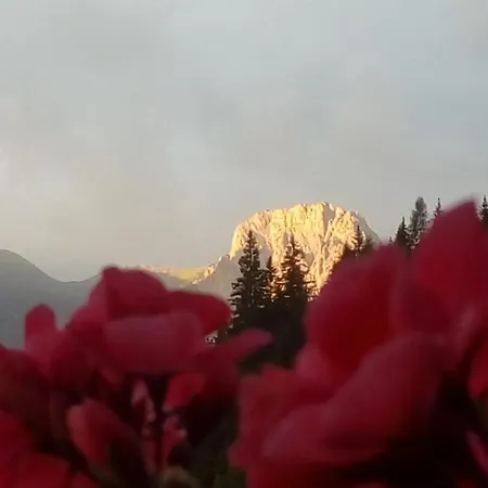 Dolomiti Bey Haus Pinter Bed & Breakfast