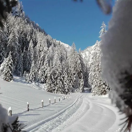 فندق مبيت وإفطار Dolomiti Bey Haus Pinter 3*