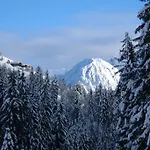 Dolomiti Bey Haus Pinter Bed & Breakfast Assling