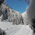Bed & Breakfast Dolomiti Bey Haus Pinter 3*