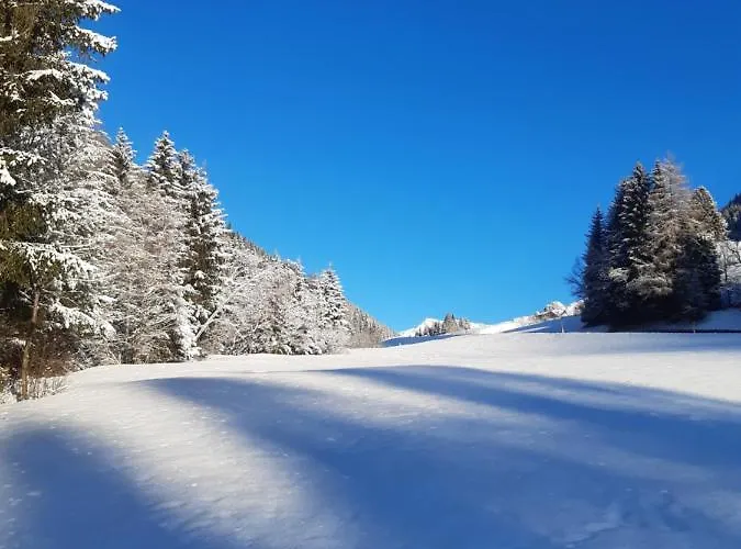 Dolomiti Bey Haus Pinter לינה וארוחת בוקר Assling