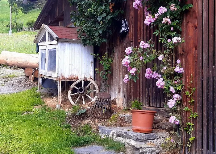 Dolomiti Bey Haus Pinter 3*