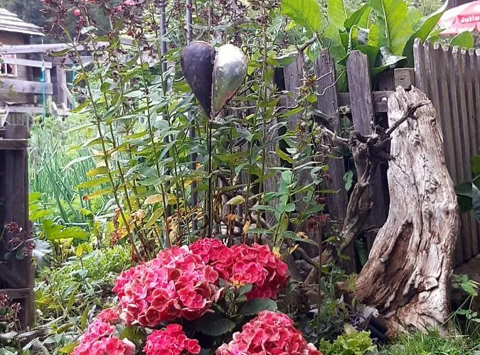 Dolomiti Bey Haus Pinter לינה וארוחת בוקר Assling