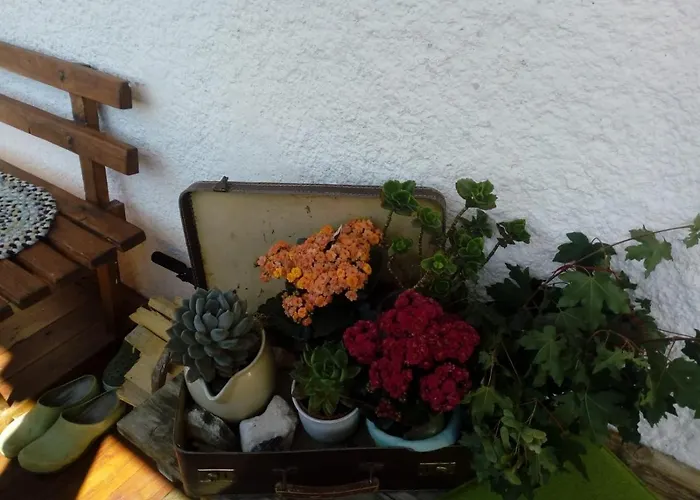 Dolomiti Bey Haus Pinter 3* Assling