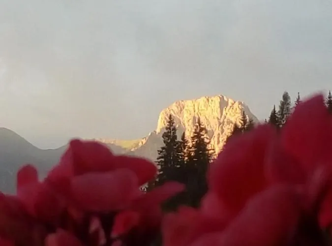 Dolomiti Bey Haus Pinter לינה וארוחת בוקר