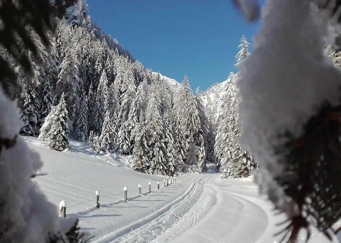 לינה וארוחת בוקר Dolomiti Bey Haus Pinter 3*